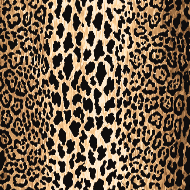 Leo Collection – niLuu