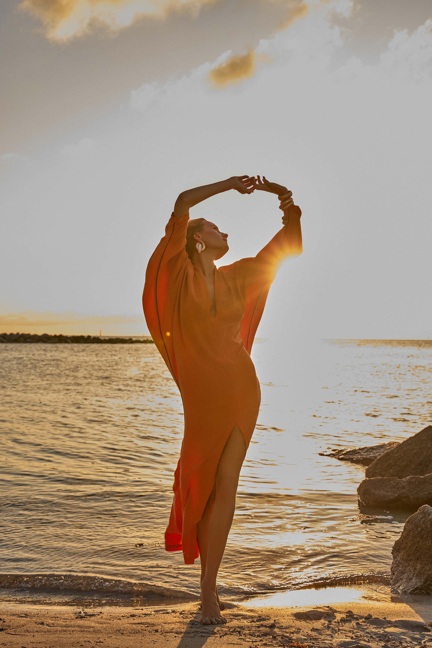 Sienna Calypso Taylor Bat Sleeve Dress-niLuu