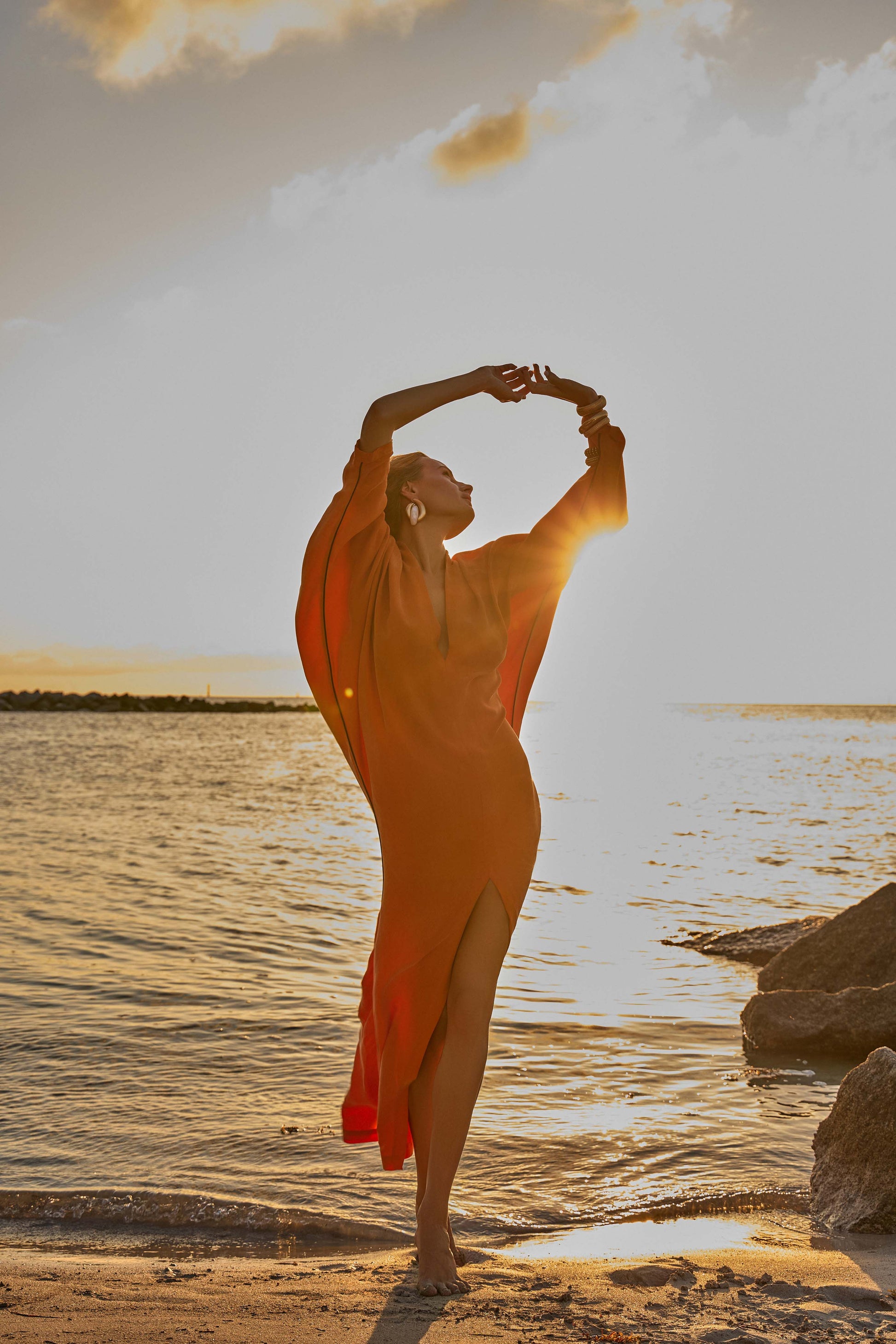 Sienna Calypso Taylor Bat Sleeve Dress-niLuu