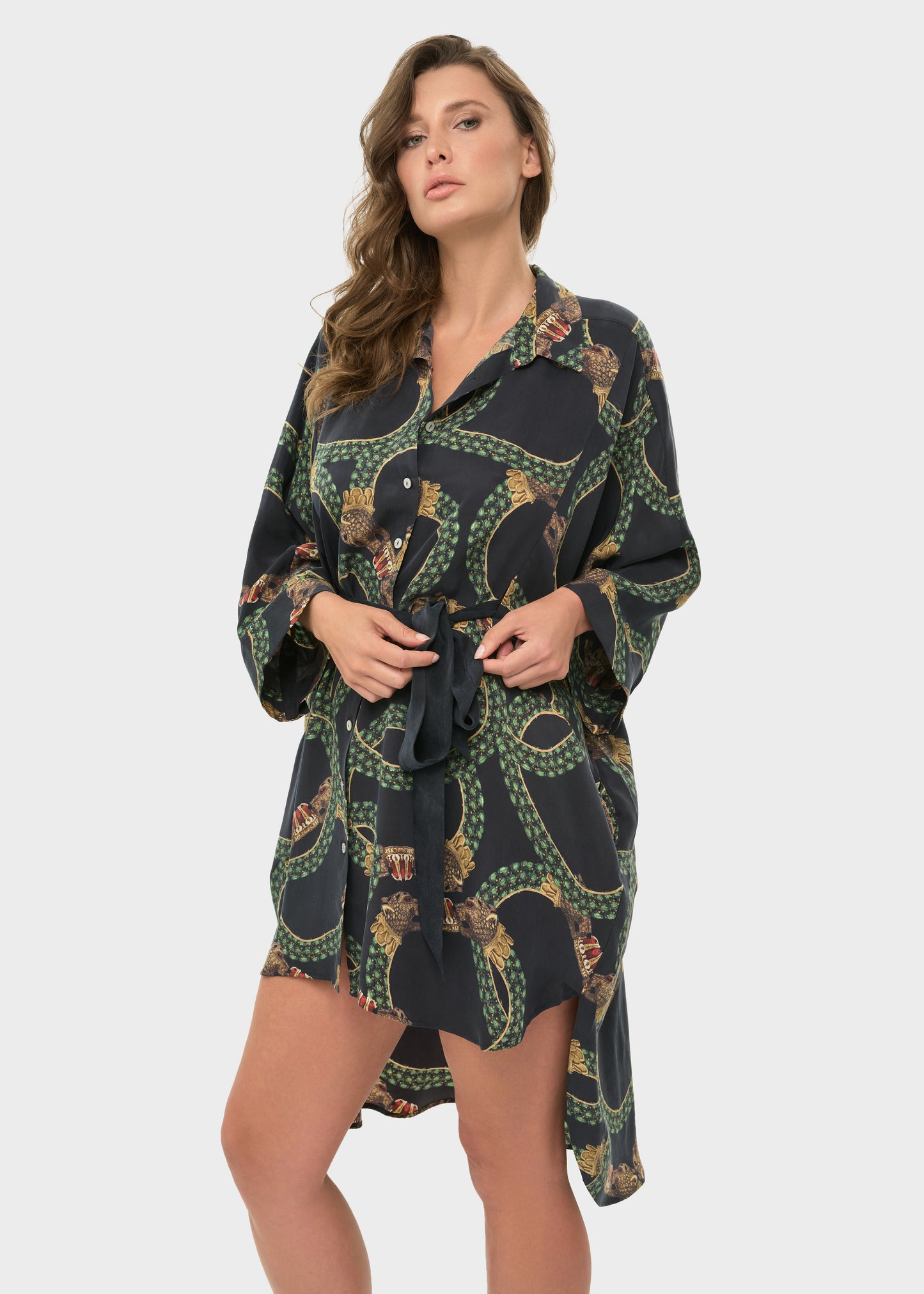 Dion Mystique Button Down Dress-niLuu