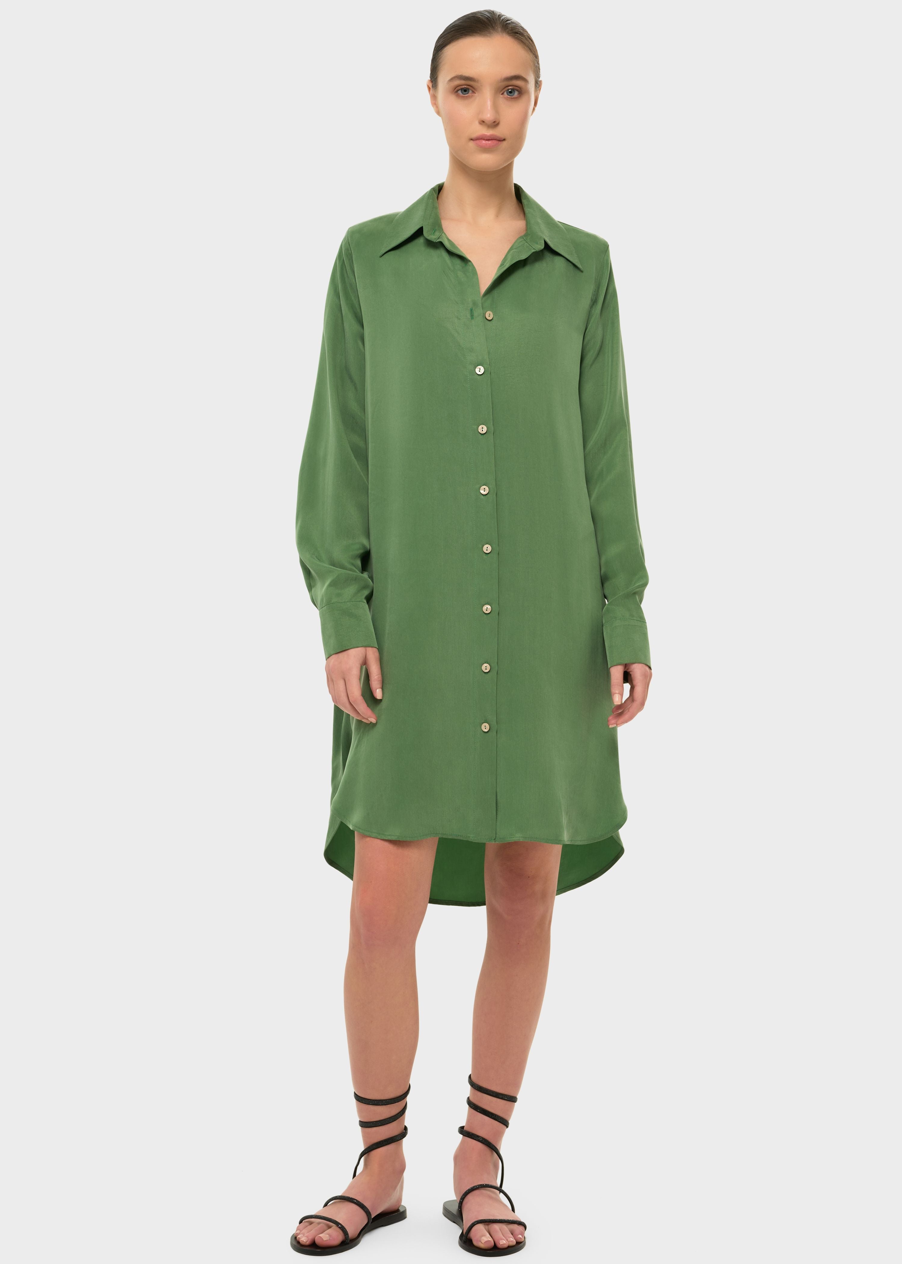 Moss AquaFlora Button Down Shirt Dress