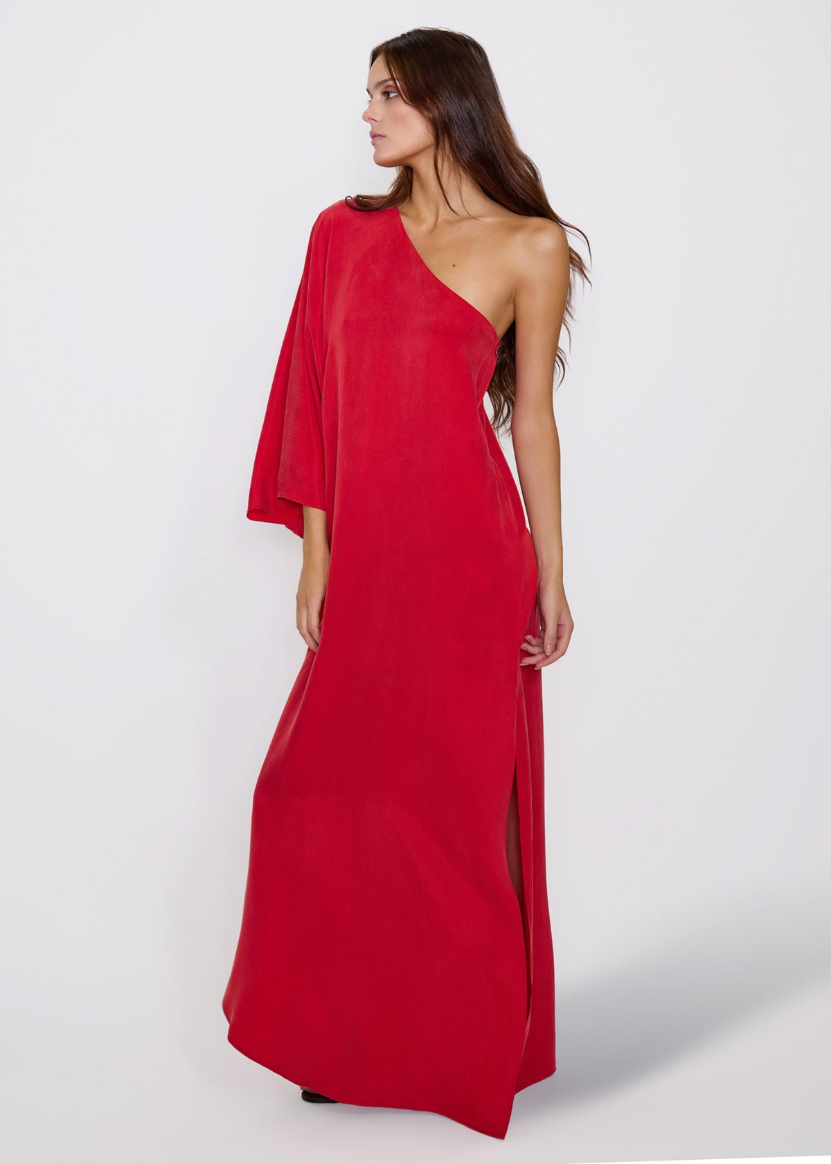 Rouge Eden One Shoulder Maxi Dress