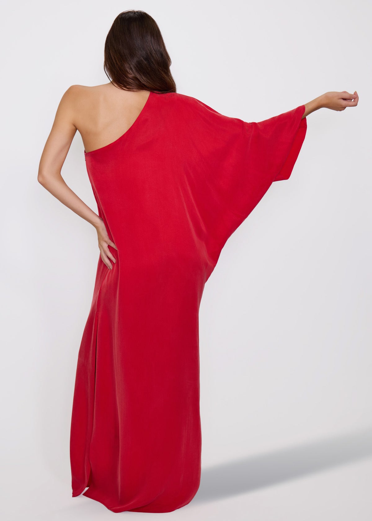 Rouge Eden One Shoulder Maxi Dress